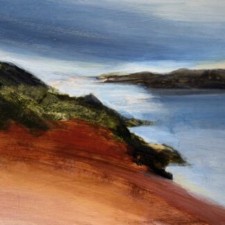 A green and muted red bluff sits in a grey-blue bay under a dark foggy sky.